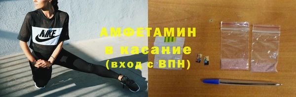 стаф Новозыбков