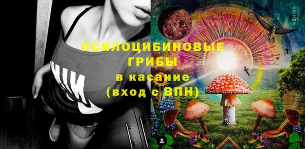 ECSTASY Ветлуга