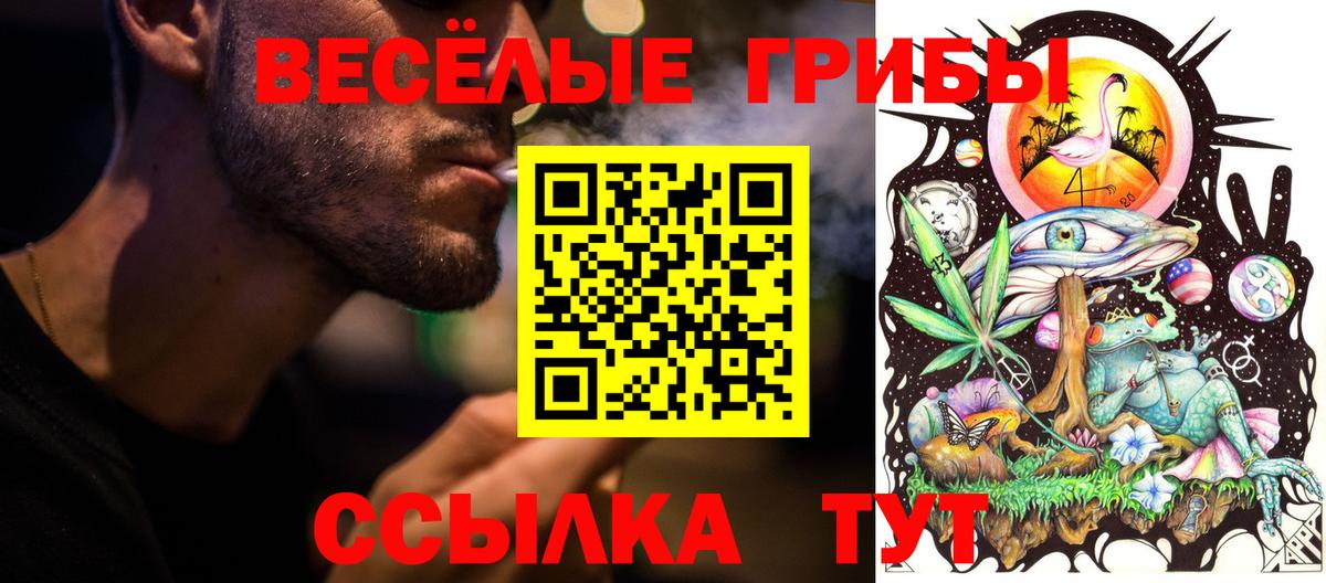 Урюпинск  Галлюциногенные грибы прущие грибы  Вход с VPN 